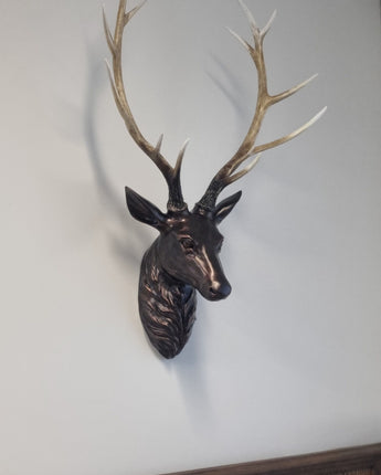 Stag