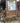 Velvet and Volute